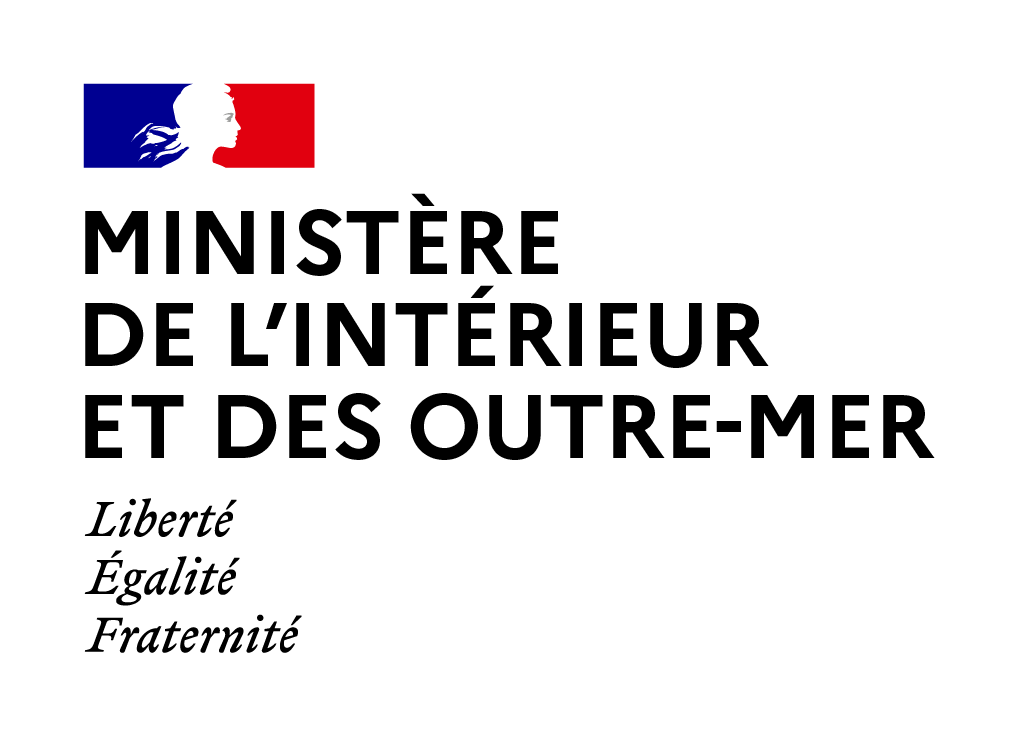 在法外籍人员网